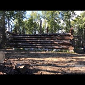 Meet your Posher, Olive